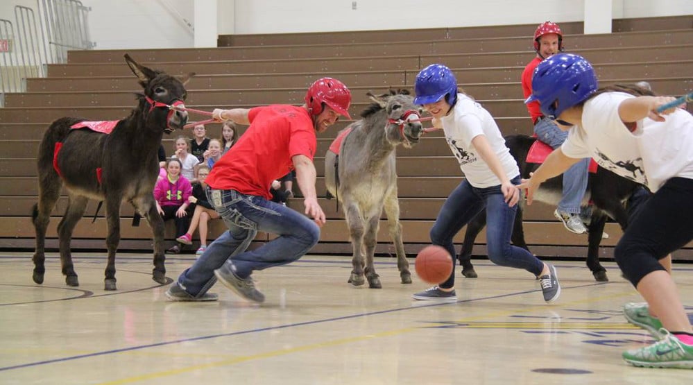 Donkey Basketball